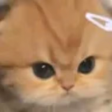 catangy emote
