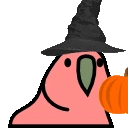 pumpkinParrot emote