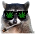Racc420 emote