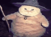fatasswizardcastsdeepslumber emoji