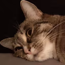CE_RethinkingLife emote