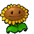 Sunflower animated emote