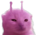 plorp emote