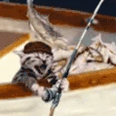 CATBEDOINGTHEFISHING emote