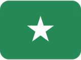 flag_vs emote