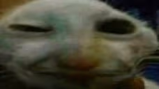 xxd emote