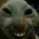 xddddddddddddddddddddddddddddddddddddddddddddddddddddddddddddddd emote