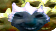 xddPL emote