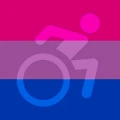 biWheelchair emote