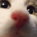 CE_Looking1 emote