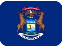 Michigan_flag emoji