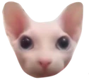 bingushead emote