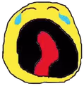 Cry emote