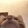 lick_CAT emote
