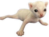 cornelius static emote