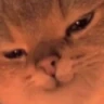 cathehe emote