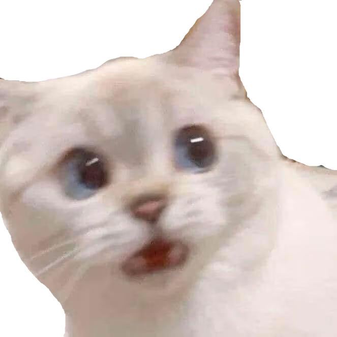 ayo_wtf_bro emote