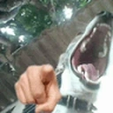 perroJajaja emote