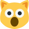 creeped_out_cat_face emote