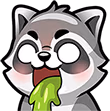 Raccoon_112_20 emote