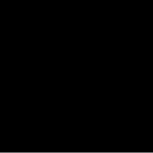 hailseizure avatar