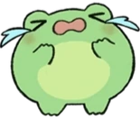 FrogCrying emote