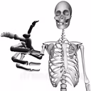 skull_point emote