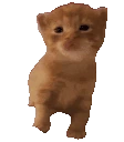 RobertJam emote