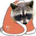 raccoonBlanket emote