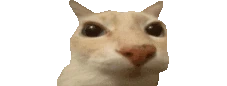 OtagTosis emote