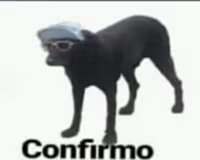 confirmo_perro emote