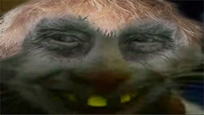 xddbriish emote