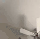catPunch emote