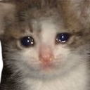 Crying_Kitten emote