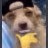 DogLipBite emote