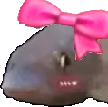 fishCute emote