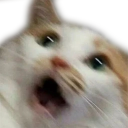 cat_scared emote