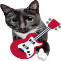 guitarcat static emote