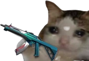 PrimeSadCat emote