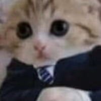 gatodeterno emote