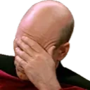 FacePalm emote