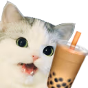 bobacat emote