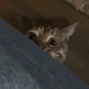 Hiding emote