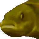 fishJAMJAM animated emote