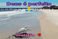 Deuseperfeito emote