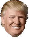 TTrump emote