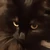 bunny_judge emote