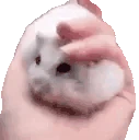 SQUISH emote