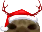 Lurkin emote