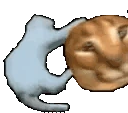 floppaSpin emoji